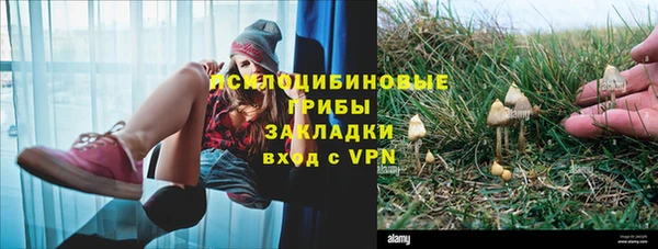 мескалин Балахна