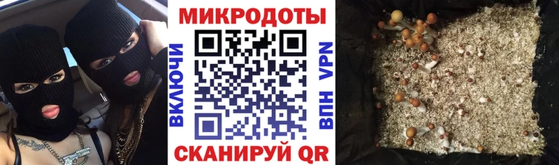 мега зеркало  Нефтегорск  Галлюциногенные грибы GOLDEN TEACHER 
